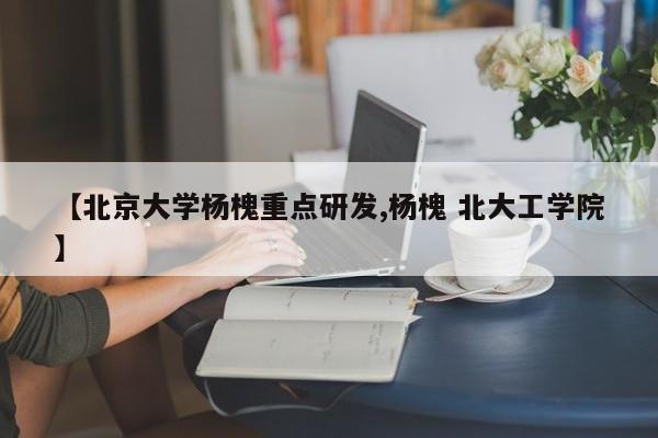 【北京大学杨槐重点研发,杨槐 北大工学院】