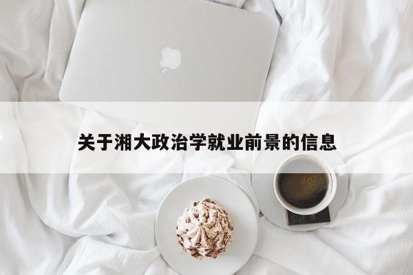 关于湘大政治学就业前景的信息