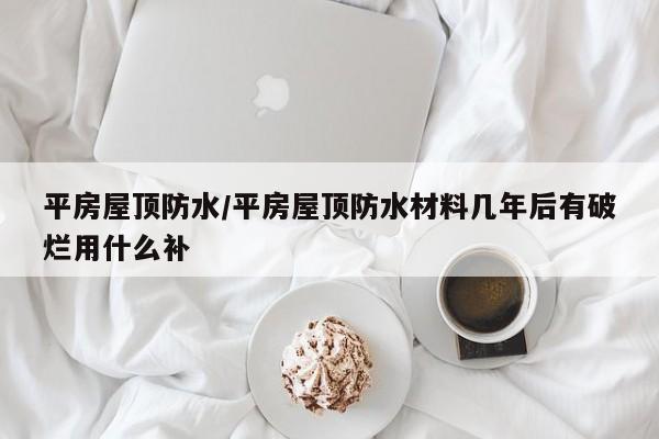 平房屋顶防水/平房屋顶防水材料几年后有破烂用什么补